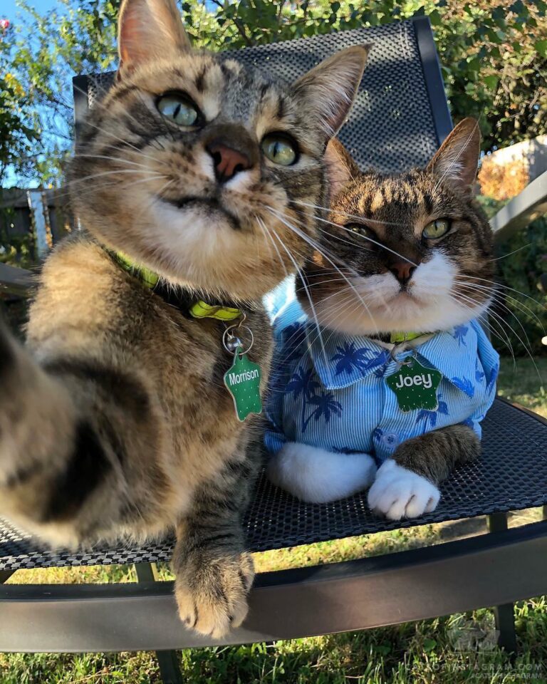 It’s selfie time