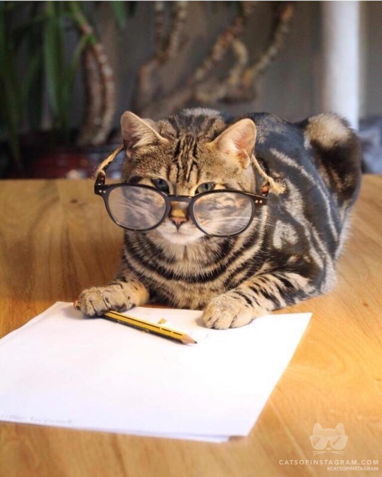 Just let me finish off my work