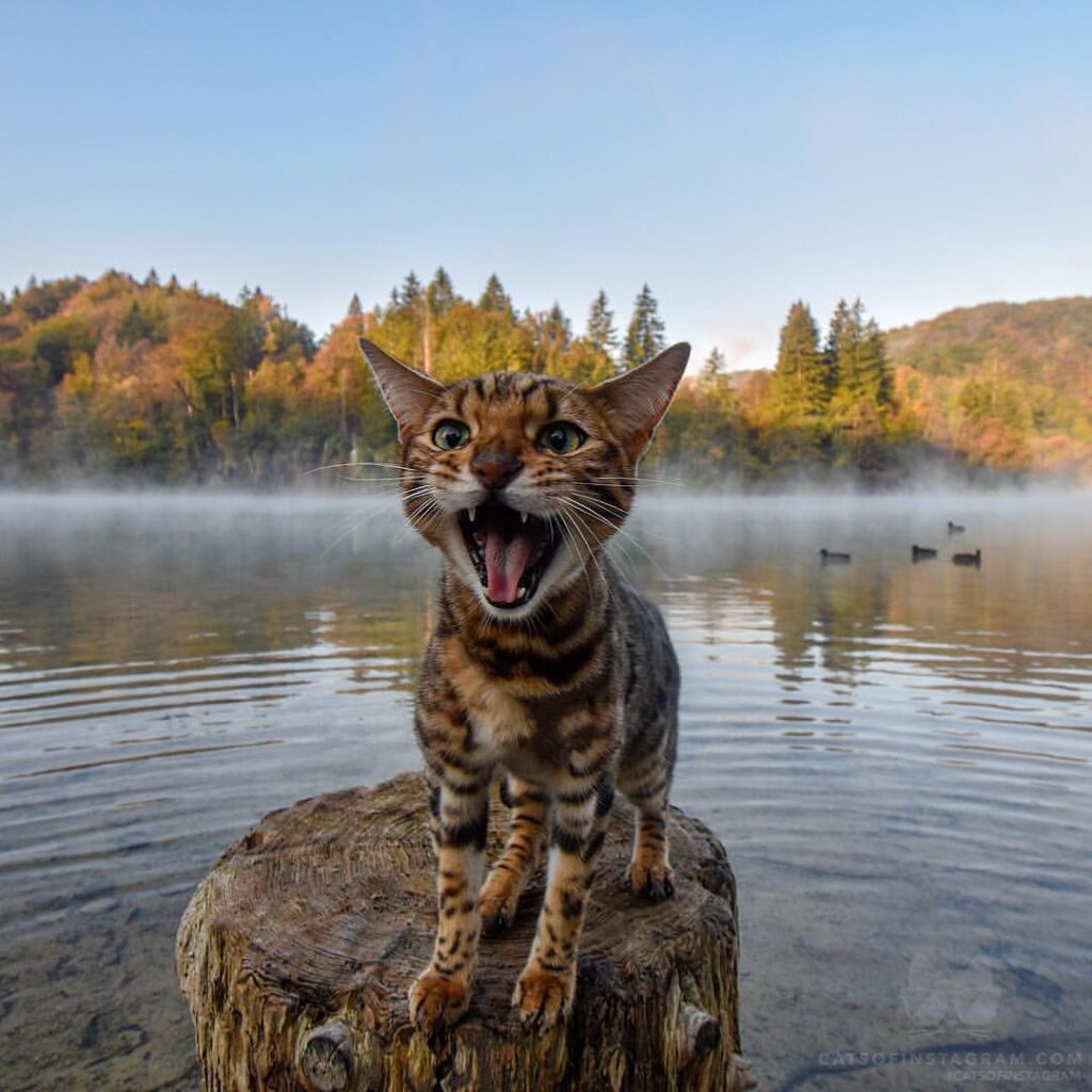 Me when I am disturbed during my photo session