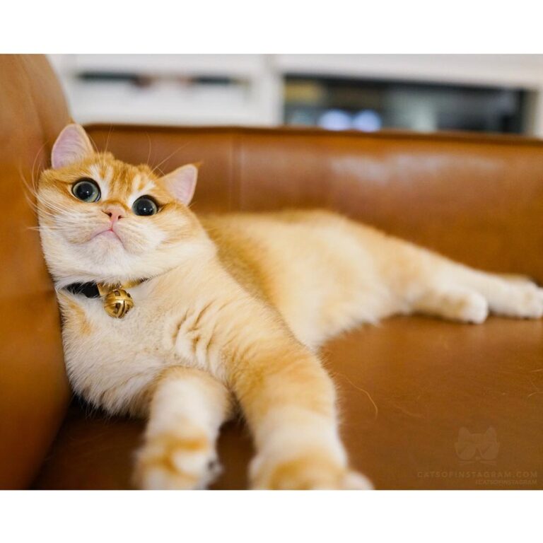 “If you can’t handle me at my low angle, double chin photo, the
