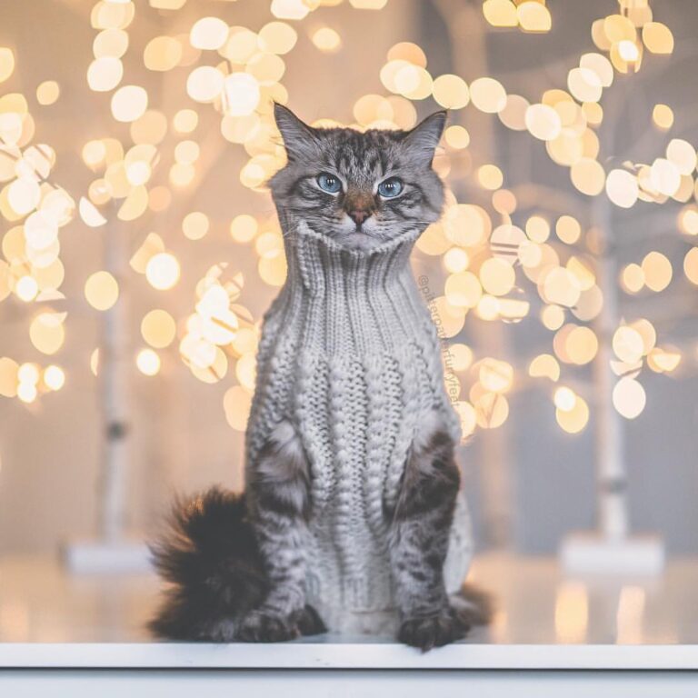 “Am I a handsome boy in my sweater? (See more of F