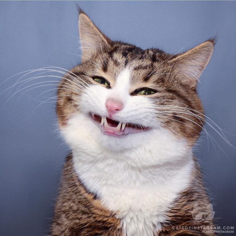 It’s one of those smiles…