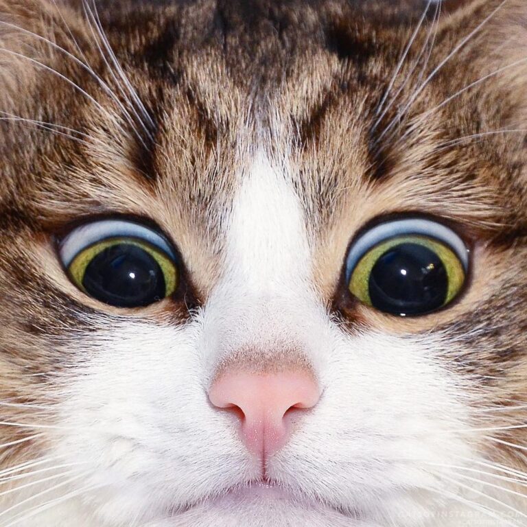 When you accidentally open front camera