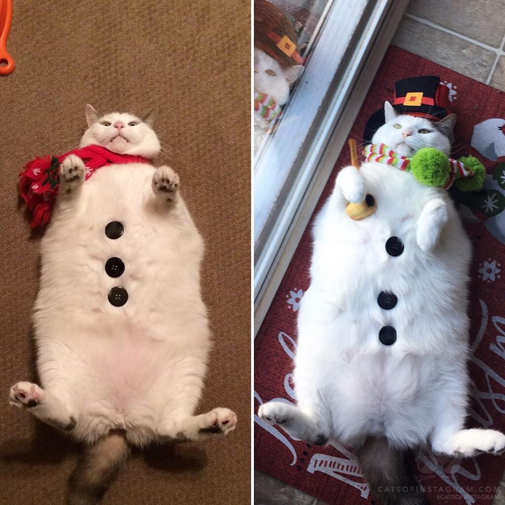2015 or 2018 me