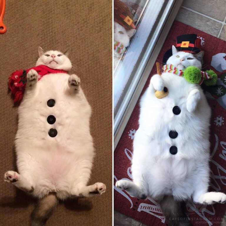 2015 or 2018 me