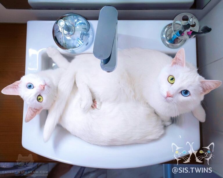 “Hey! The bathroom is occupied! Can’t you see? Come later!