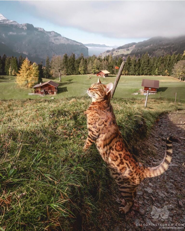 Somewhere in the Swiss countryside