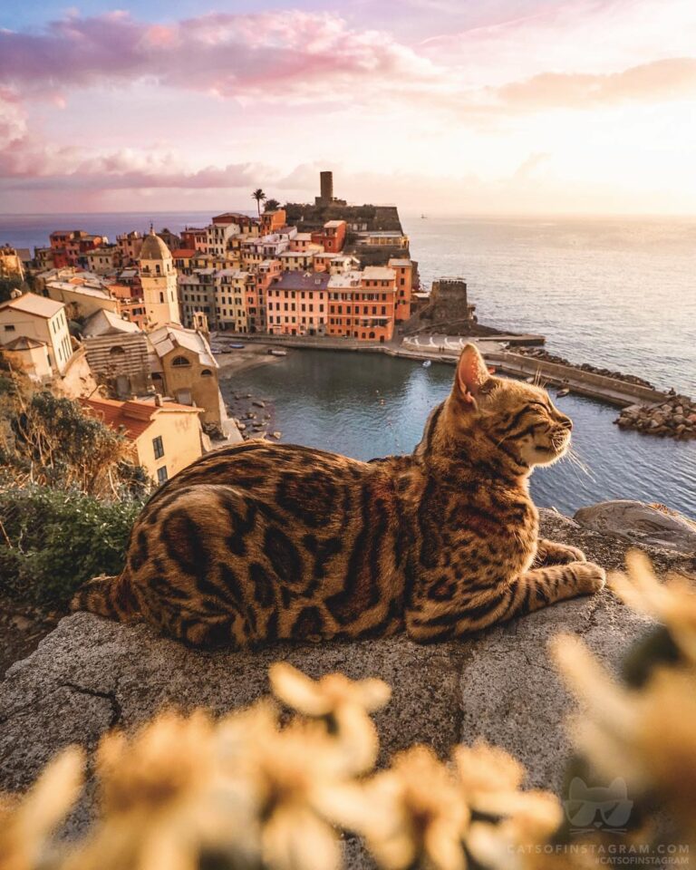 Sunset bliss