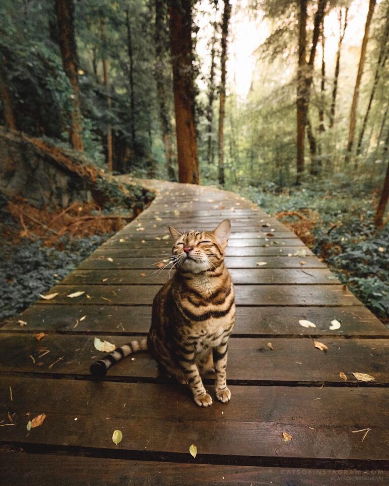 Take time to stop and smell the forest