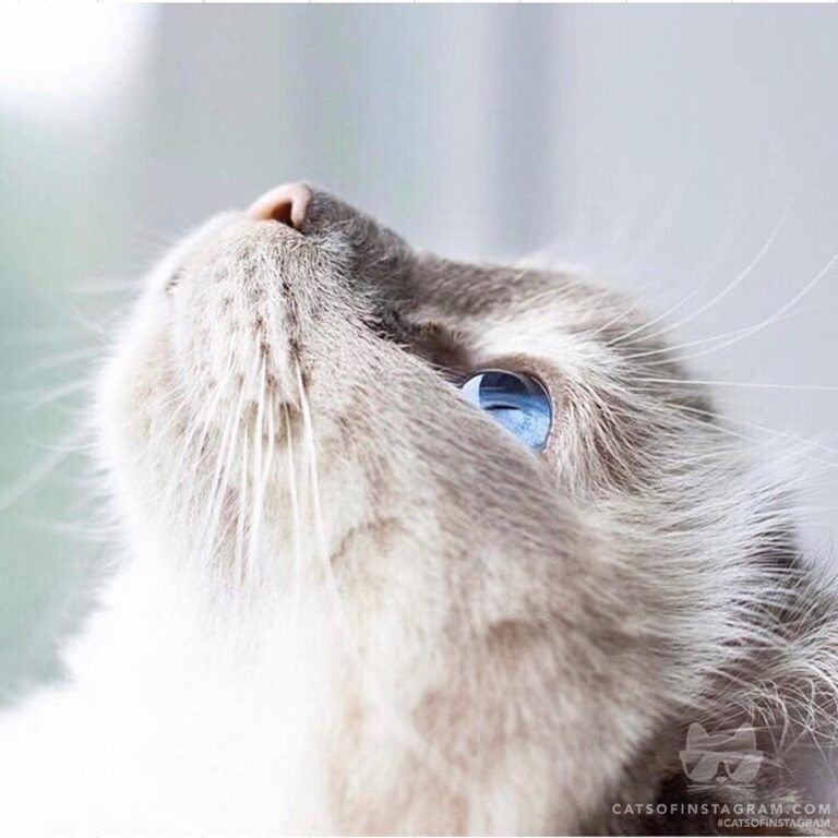 Who else can see the world in these eyes?