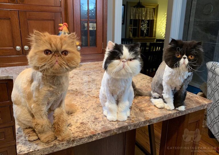 Squad Goals
