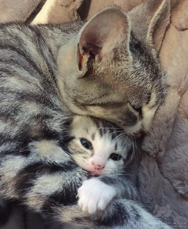 Mama hugs are the best hugs