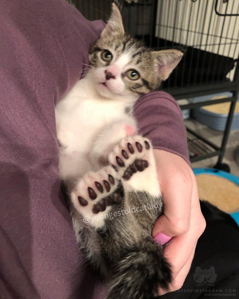 Hey Lady, why you always looking at my toes