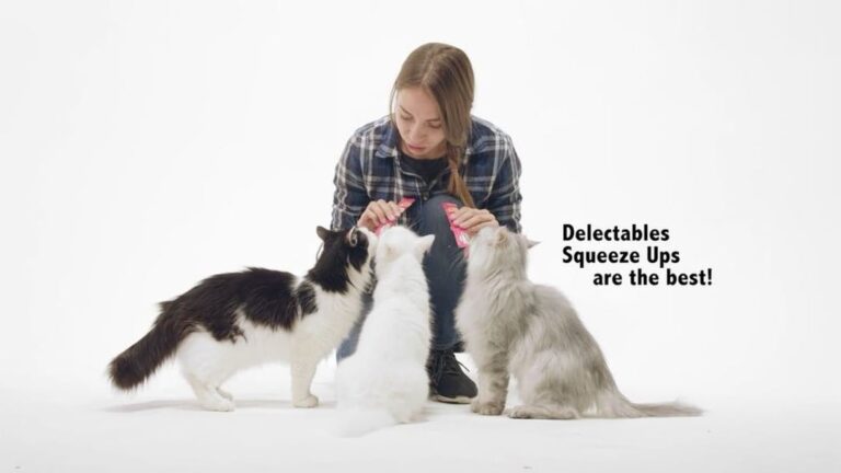 For AGT’s Savitsky Cats, Delectables Squeeze Ups cat treats create