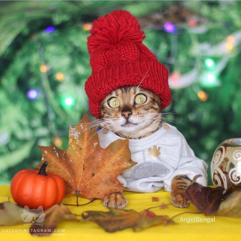 I’m so cute it’s unbeleafable