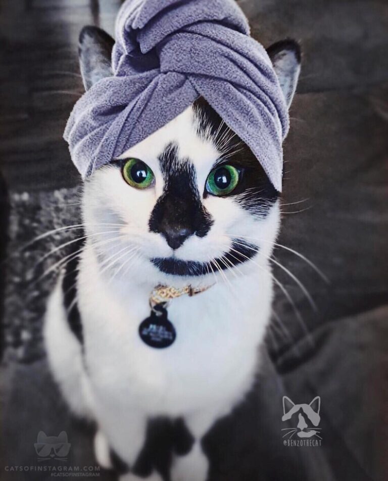 “Mah!! What the heck, it’s spa day!! We said no cameras, I ha