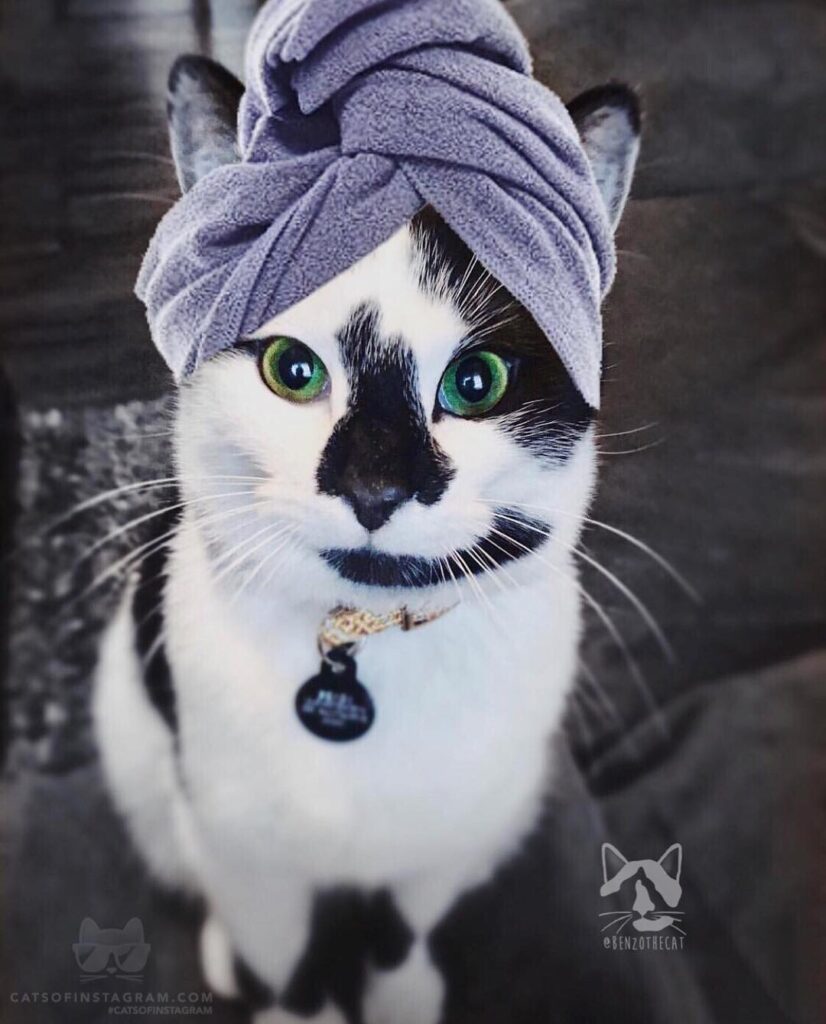 “Mah!! What the heck, it’s spa day!! We said no cameras, I ha