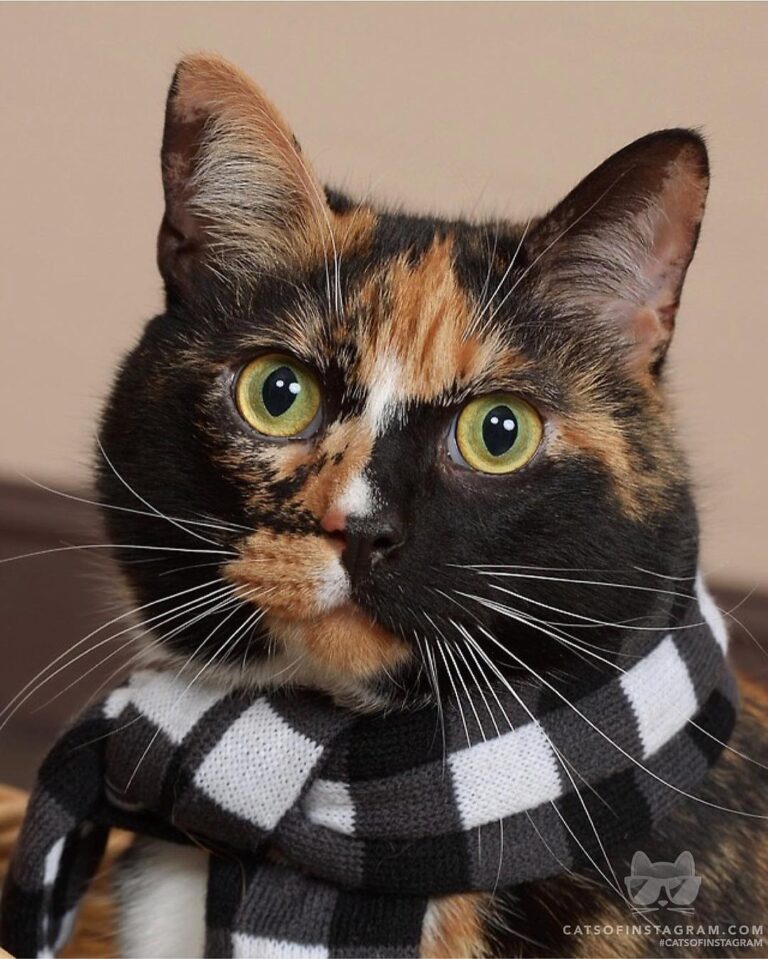 I’m ready for my close up!