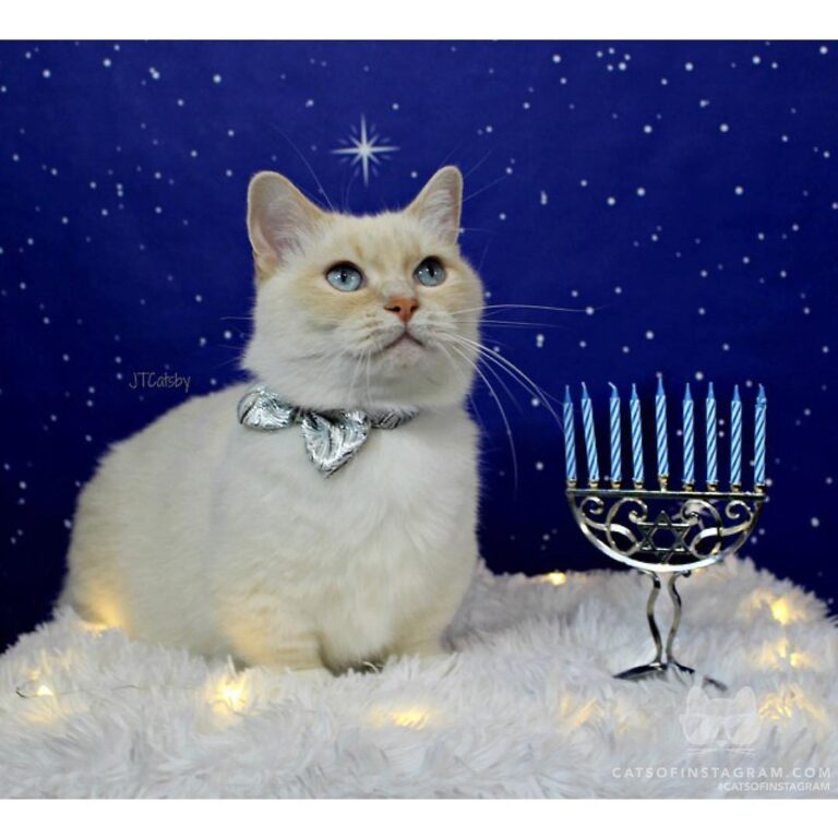 May love and light fill your heart and home this