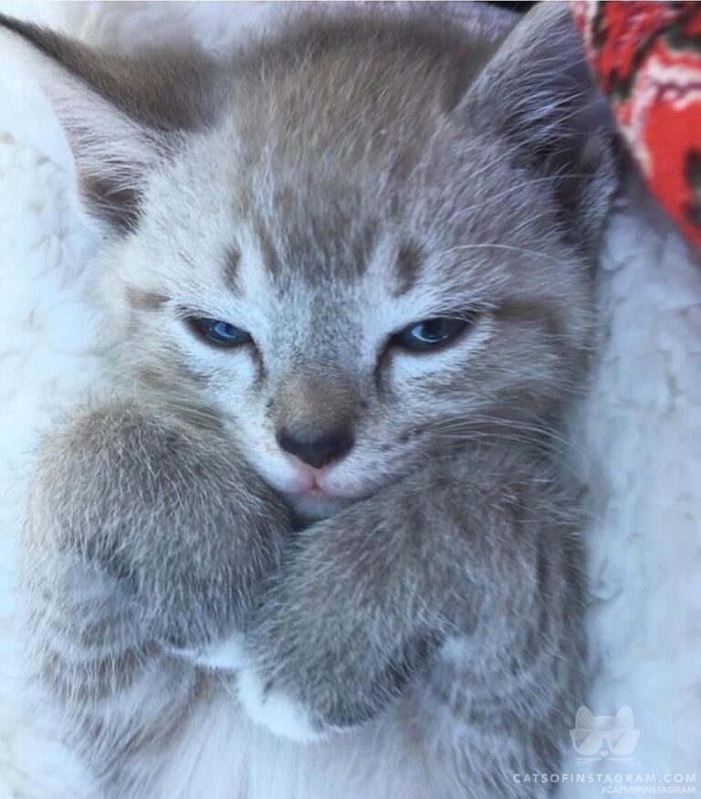 This is my sweet baby Oliver!