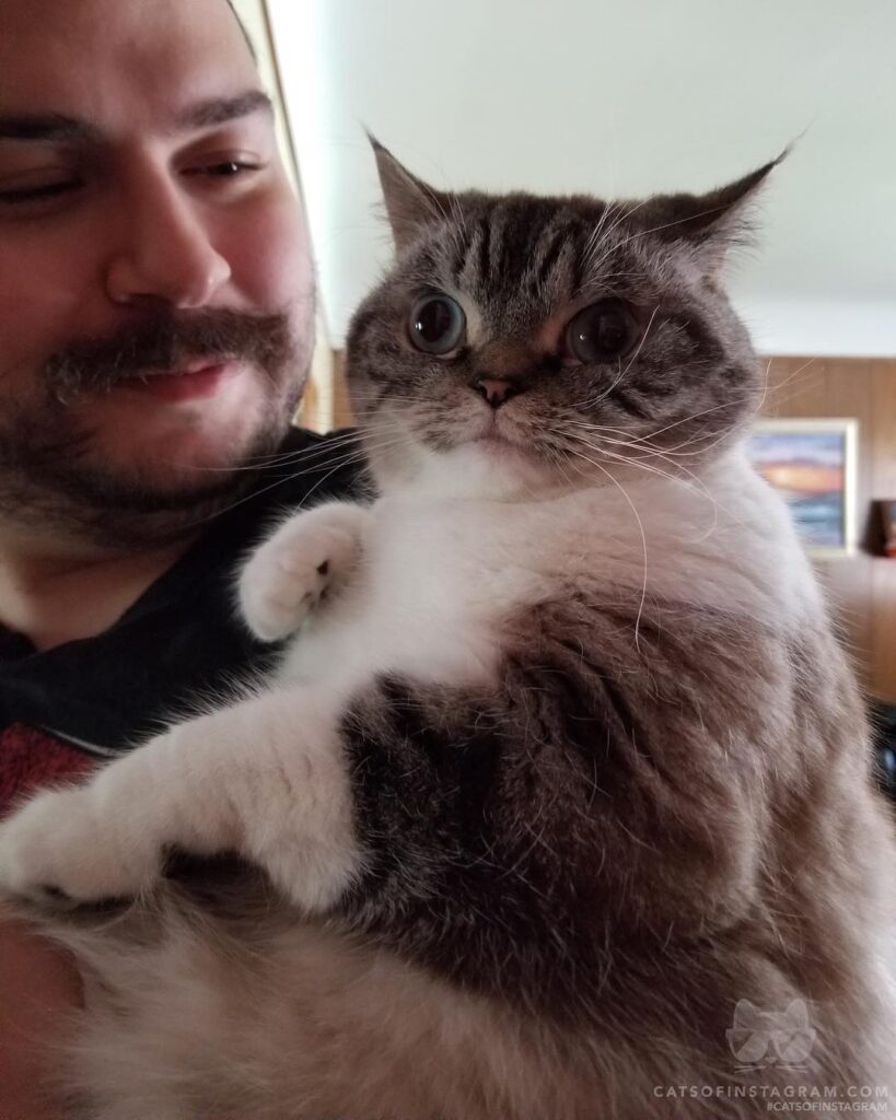 “Find someone who looks at you the way humdad looks at me” #
