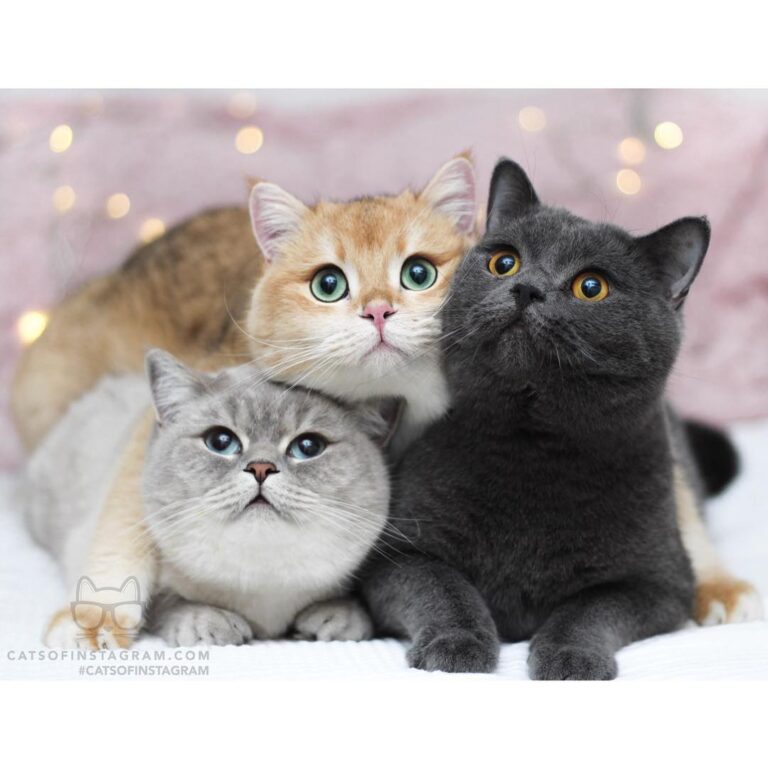 Our face when someone says Christmas is coming soon