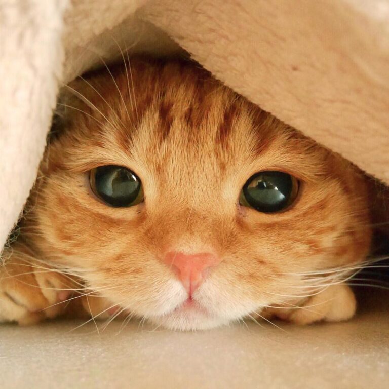 I’m so drowsy…