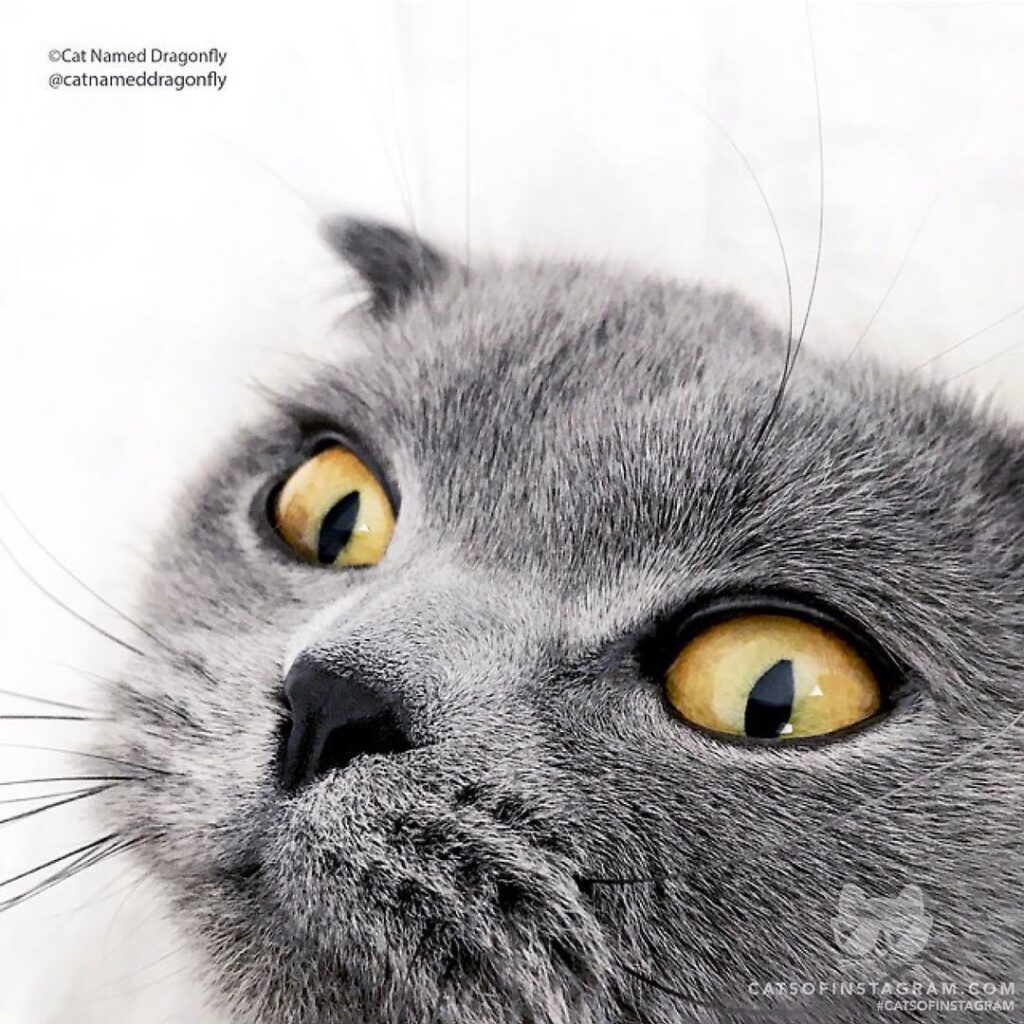 “It is a mad world out there. Sometimes eye popping.” #