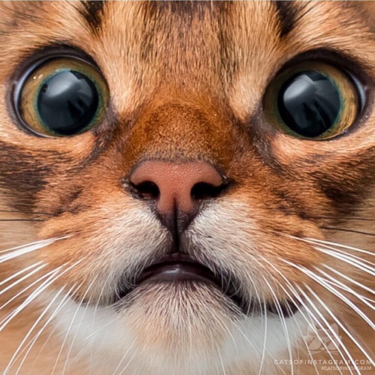 Too close?