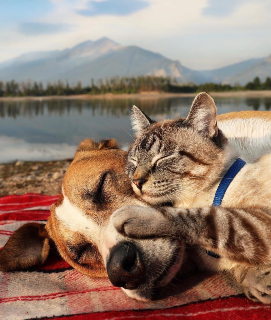 You’ve got a friend in me