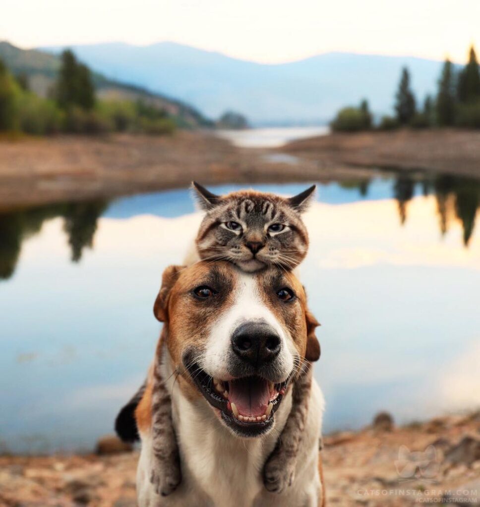 Brothers for life, forever and always