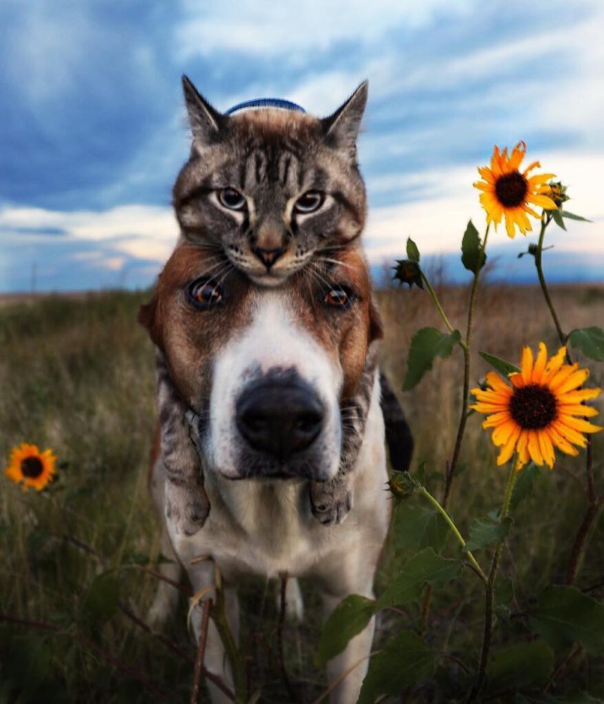 “it looked like it was going to rain, so I made sure