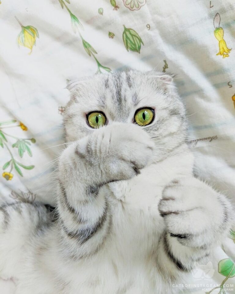 This sheet bring out my eyes, they say