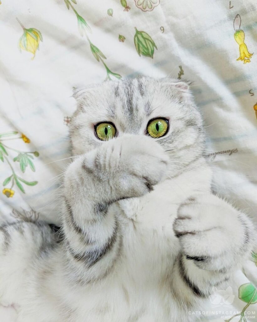 This sheet bring out my eyes, they say