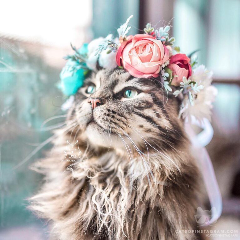 Feeling extra fabulous today