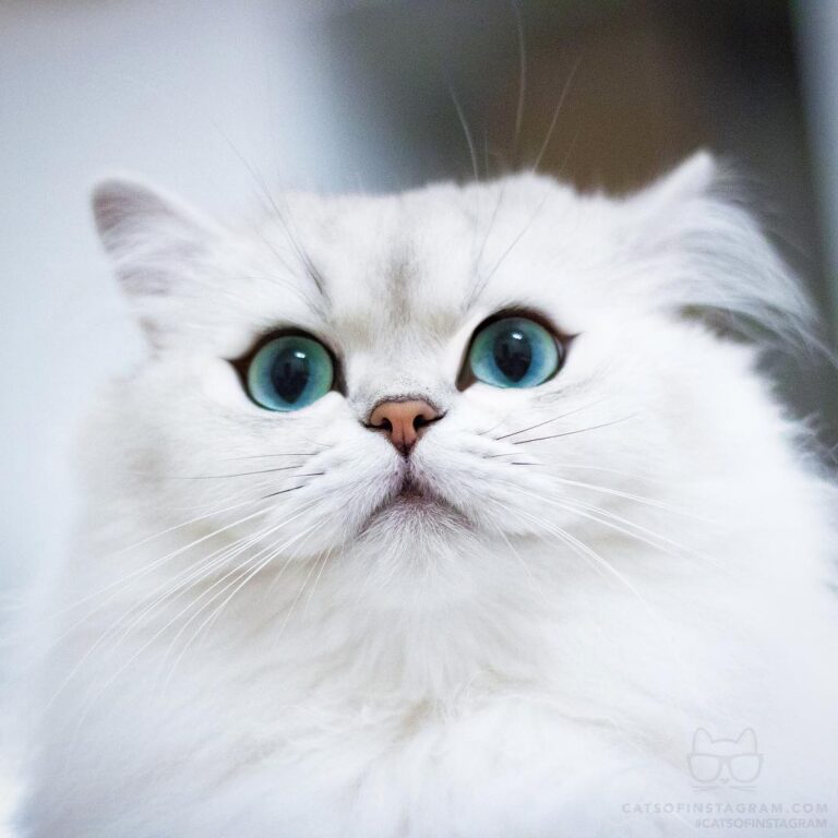 “Single and ready to not make eye contact with anyone