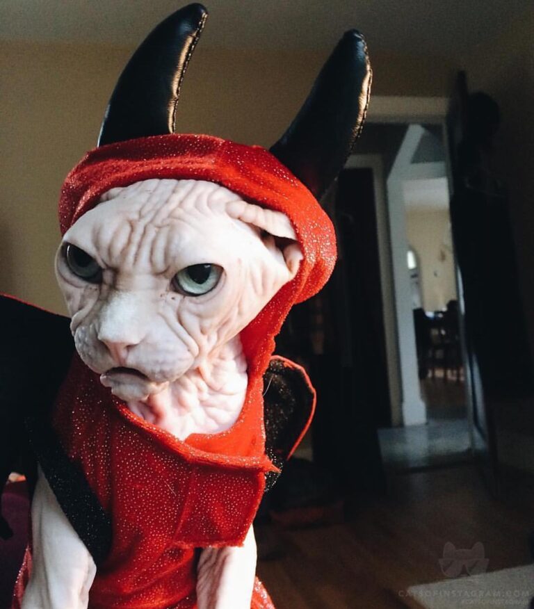 Who said anything about Halloween?