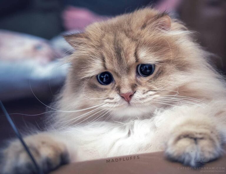 “I ate all the Halloween treats already? That can’t be right, s