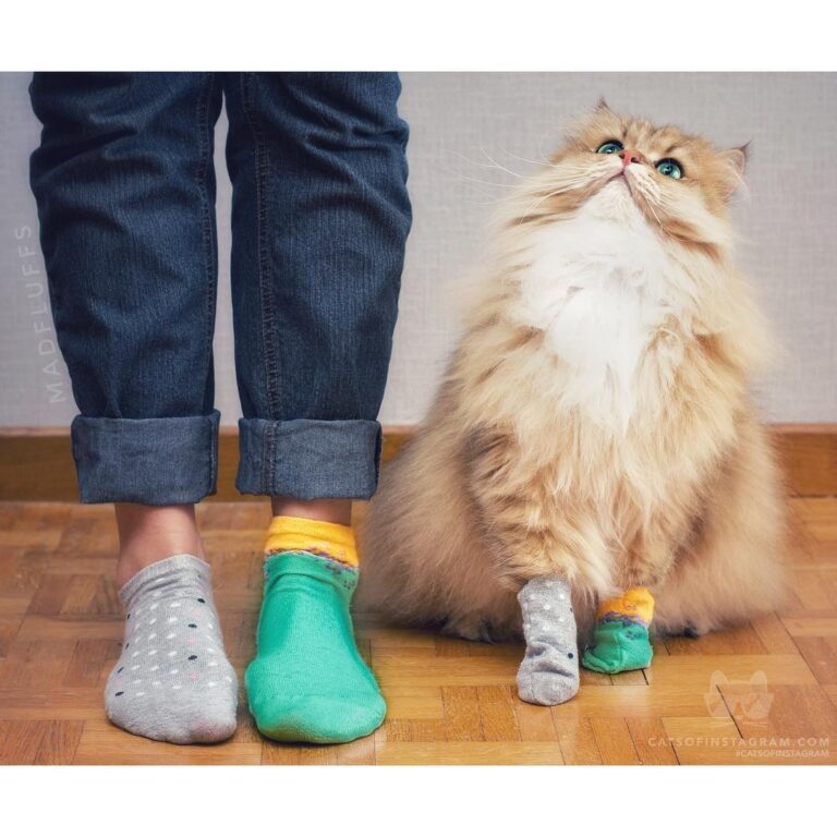 Life is too short to wear matching socks.