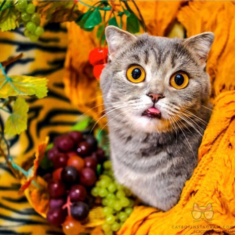 Looks like fall is here