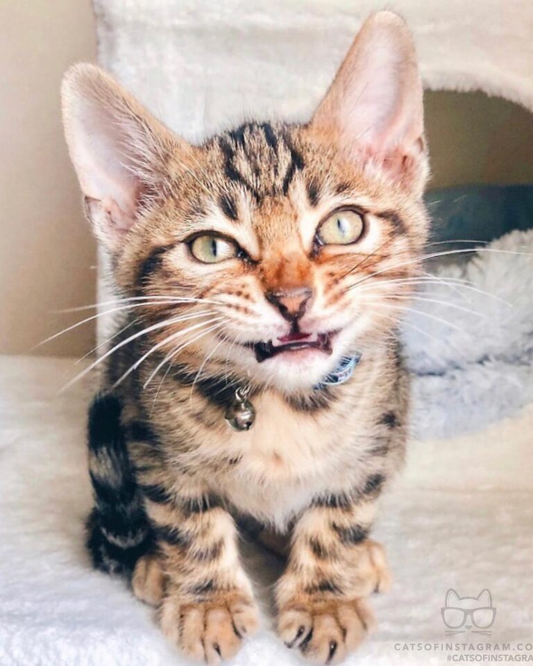 This is my hangry face