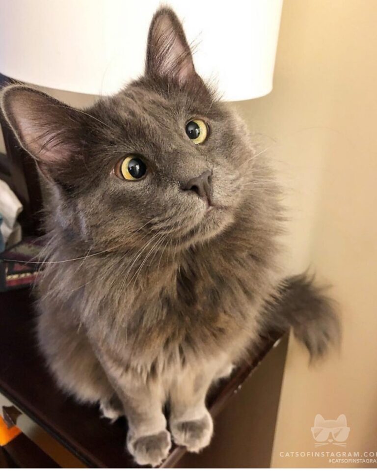 Well hello there