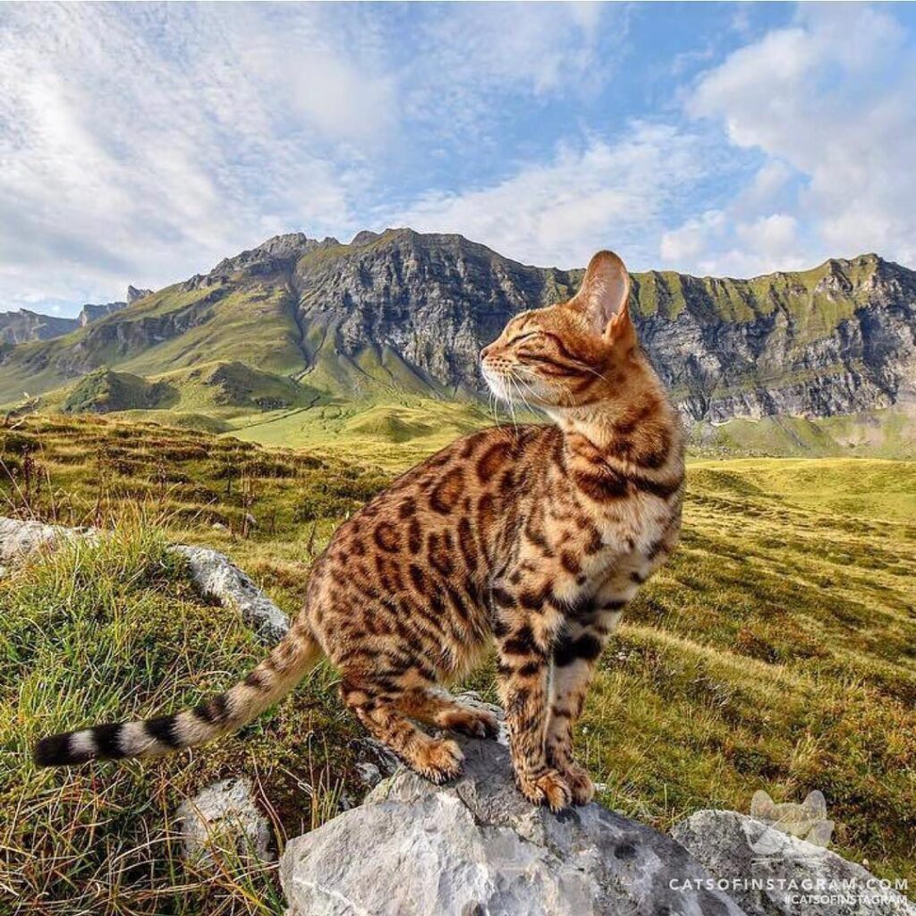 Fresh air in heaven