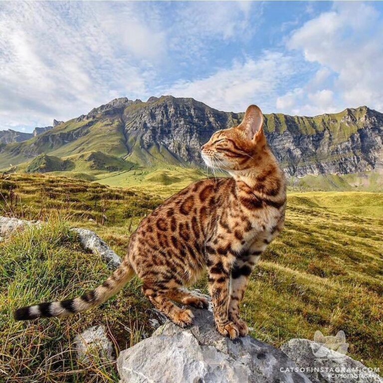 Fresh air in heaven
