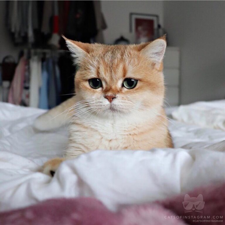“When your alarm goes off in the morning and you have to