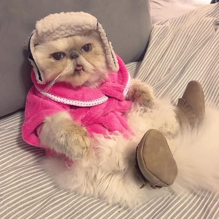 How you will find me for the rest of this winter