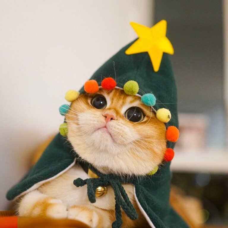 I lit up like a Christmas tree