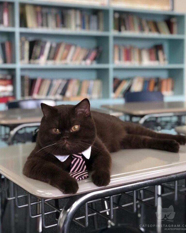 Professor Julius waiting to give his first lecture.