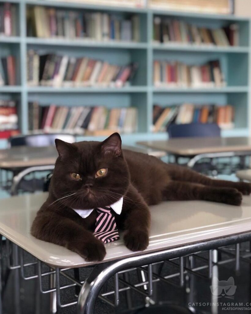 Professor Julius waiting to give his first lecture.