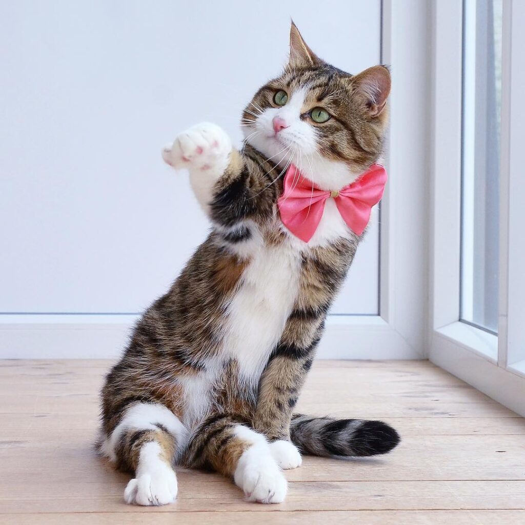 Showing haters which way to go be like